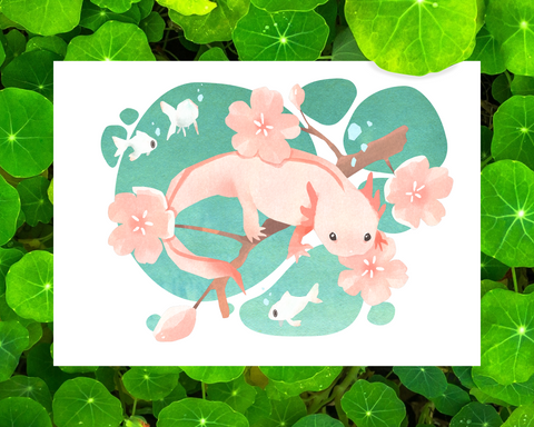 Sakura Axolotl - 5x7" Digital Art Print
