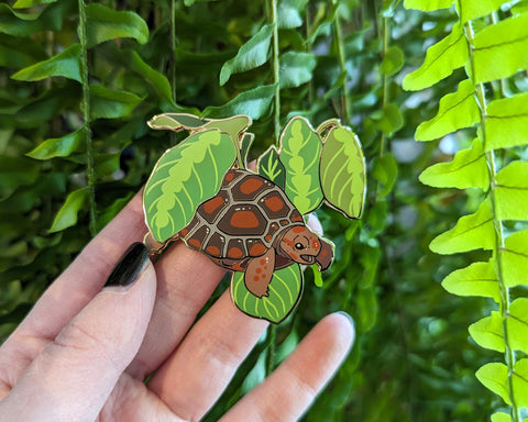 Red-Footed Tortoise - Herpetoflora ii Enamel Pin Collection