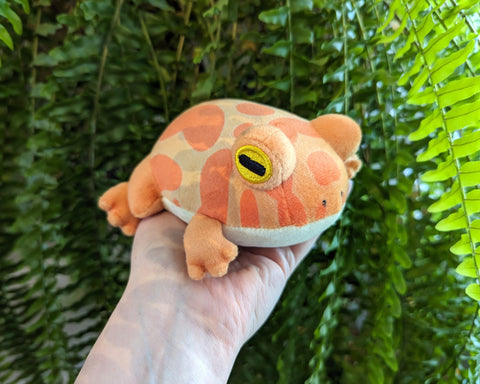 Pacman Frog Plush - Herpetoflora ii