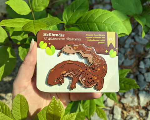 Hellbender Salamander - Pin Fundraiser