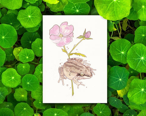 Wood Frog and Alberta Rose - 5x7" Watercolour Frog Art Print