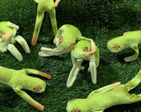 Frog Jerky Doll (cursed)