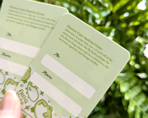 Bouquet of Frogs Love Notes x4 - Valentines 2026