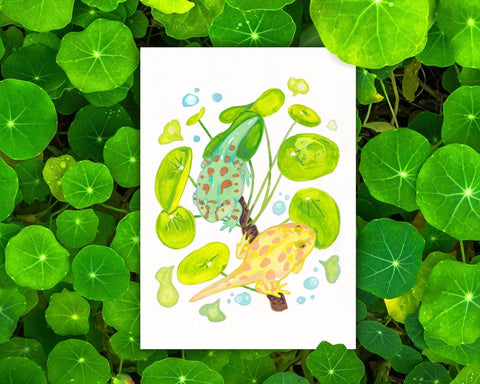Bubble - 5x7" Gouache Frog Art Print