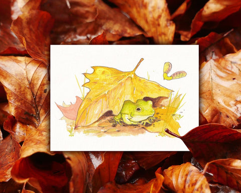 Hidden - 5x7" Watercolour Frog Art Print