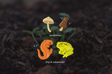Fungi Buddies Mini Pin Sets - Mushrooms & Frog/Salamander