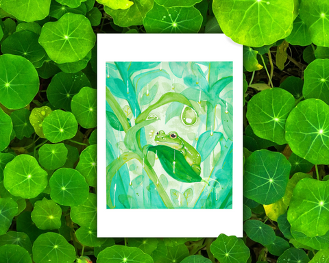 Raindrops - 5x7" Gouache Frog Art Print
